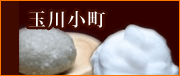 �ʐ쏬��