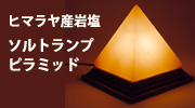 �\���g�����v�@Salt�@Lamp/�q�}�����≖ �s���N�\���g