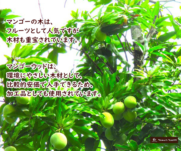 お香立て マンゴーウッド　マンゴーの木　お香立て　アジアン　デザイン